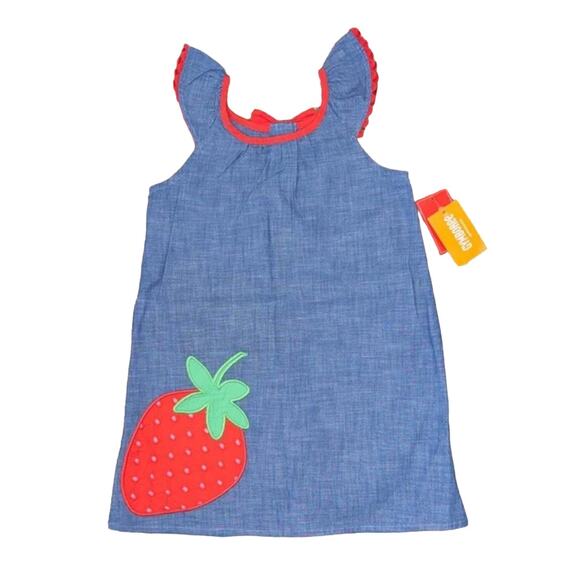 NWT Gymboree Blue Chambray W/Embroidered Strawberry Shift Dress - Picture 1 of 9